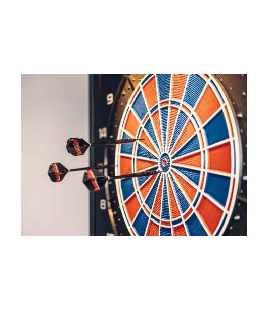 Karella dart machine © wall device - E-Master