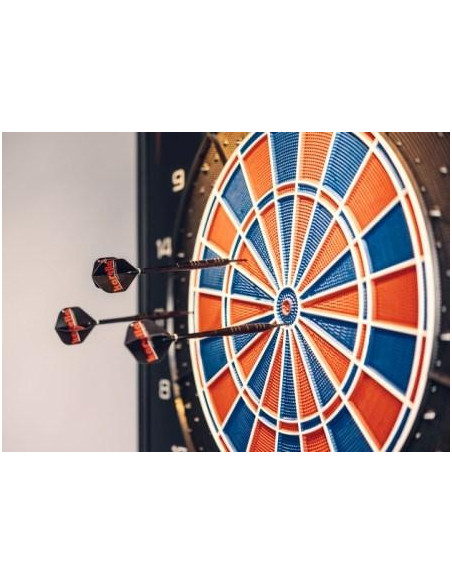 Karella dart machine © wall device - E-Master