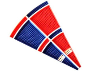 Segments - Quadro Lions (pack of 10)