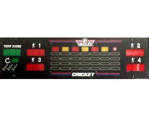 Repair display Cougar HB9 Lion Dart 2