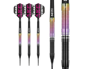 PETER WRIGHT World Champion 2020 Edition Snakebite 22g Red Dragon 2