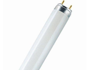 Glass base lamp MERKUR T5 2