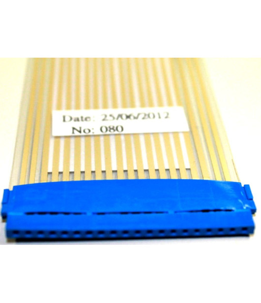 Matrix Fun Daryde Dart Blue Plugs