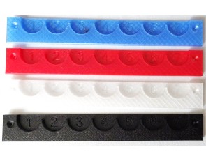 copy of Coin holder NSM Lions