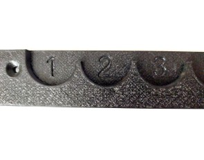 copy of Coin holder NSM Lions 2