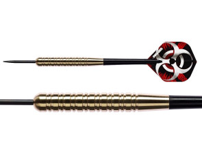 NEUTRON Brass steel darts 2
