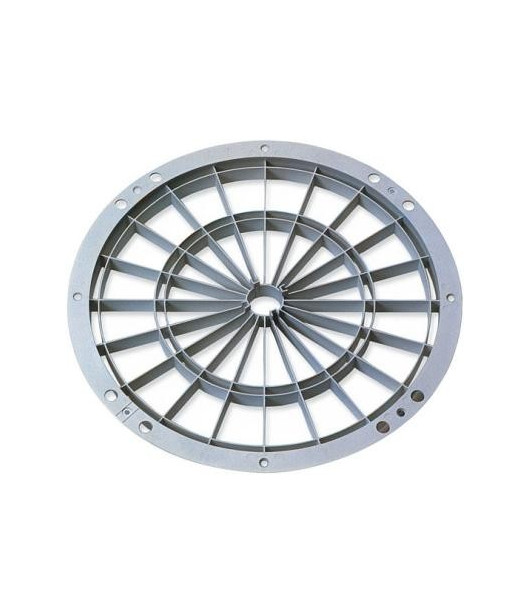 Lion dart discs SPIDER