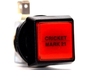 Taster Cricket Mark21