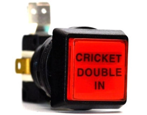 Taster Cricket Double IN