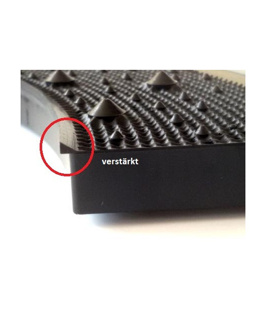 Complete set for lion darts