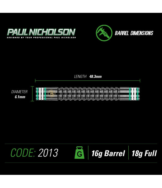 PAUL NICHOLSON (The Asset) soft darts