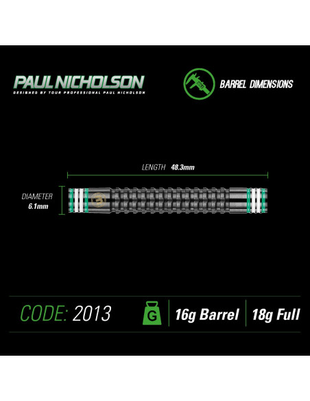 PAUL NICHOLSON (The Asset) soft darts